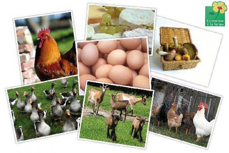 Location de vacances - Chambre d'hôtes à Évaux-les-Bains