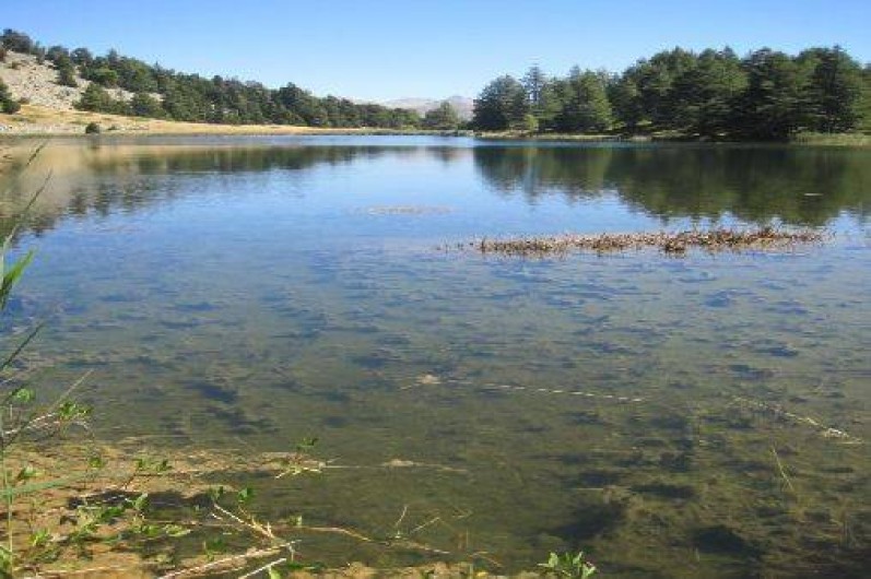 Location de vacances - Chalet à Montclar