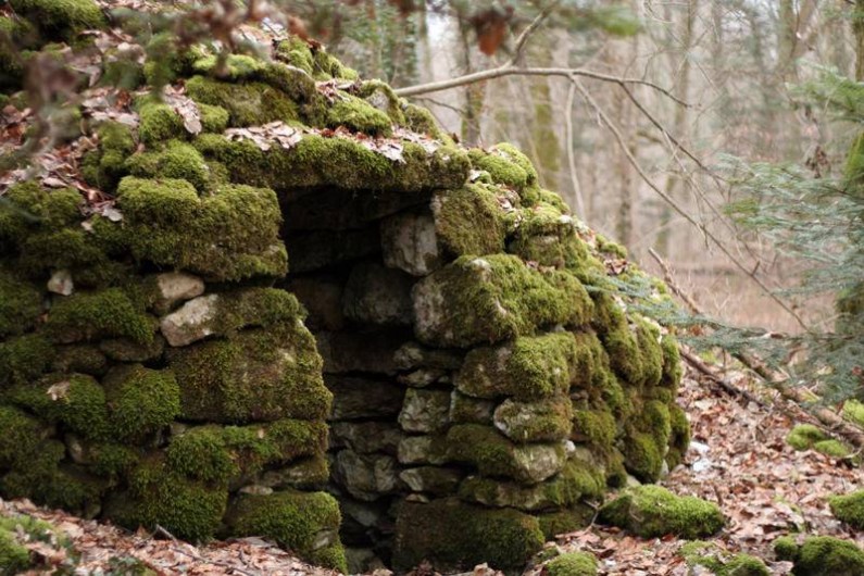 Location de vacances - Gîte à Chantraines - Cabane en pierre à 2 km du gîte