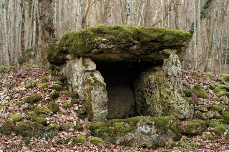 Location de vacances - Gîte à Chantraines - Dolmen à 2,5 km du gîte