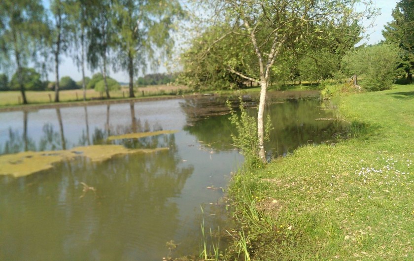 Location de vacances - Gîte à Chantraines - Etang à 1 km du gîte