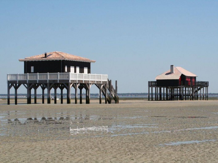 Location de vacances - Gîte à Gornac - BASSIN ARCACHON