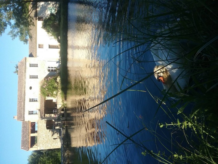 Location de vacances - Gîte à Saint-Paul-les-Fonts