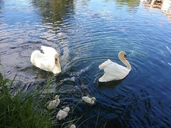 Location de vacances - Gîte à Saint-Paul-les-Fonts