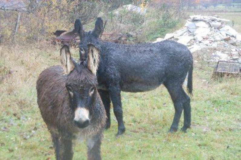 Location de vacances - Gîte à Saint-Romain-d'Ay