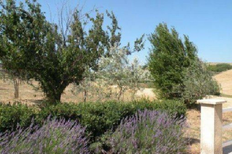 Location de vacances - Mas à Vallon-Pont-d'Arc