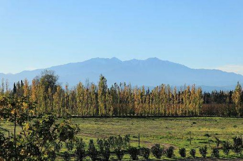 Location de vacances - Chambre d'hôtes à Saint-Génis-des-Fontaines