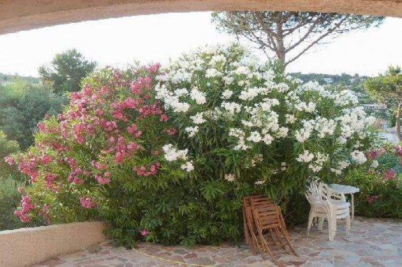 Location de vacances - Villa à Les Issambres