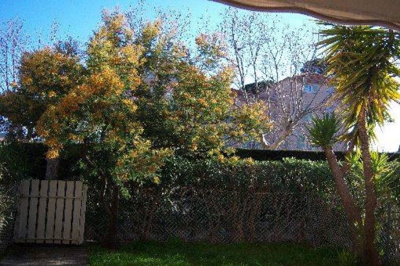 Location de vacances - Appartement à La Seyne-sur-Mer