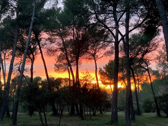 Location de vacances - Villa à Aix-en-Provence - coucher de soleil