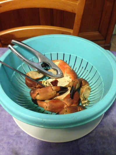 Location de vacances - Villa à Audresselles