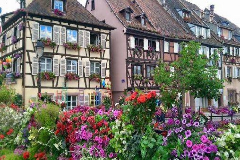 Location de vacances - Appartement à Colmar