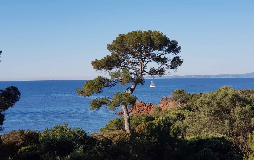 Location de vacances - Appartement à Saint-Raphaël