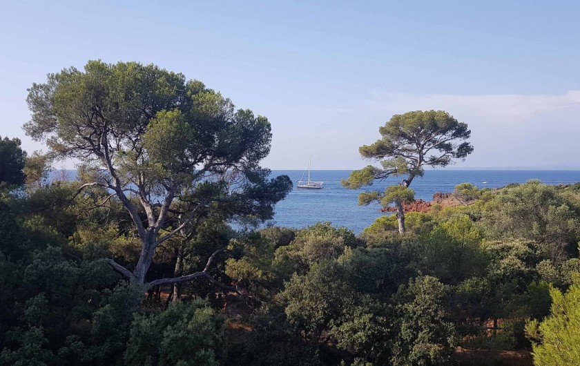 Location de vacances - Appartement à Saint-Raphaël