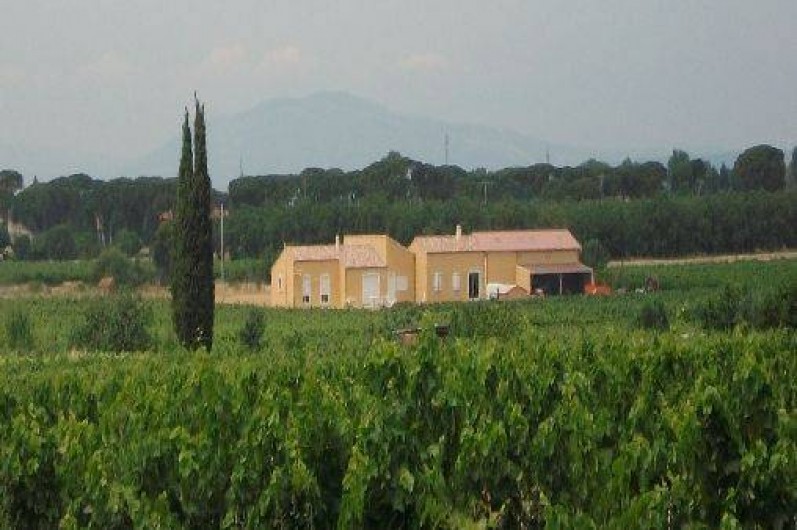 Location de vacances - Gîte à Sallèles-d'Aude
