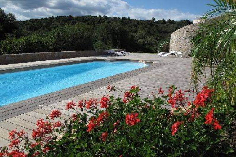 Location de vacances - Studio à Porto-Vecchio