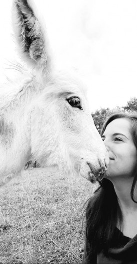 Location de vacances - Gîte à La Force - Fanny et Chevalier Jack-jack de Petit Durbec