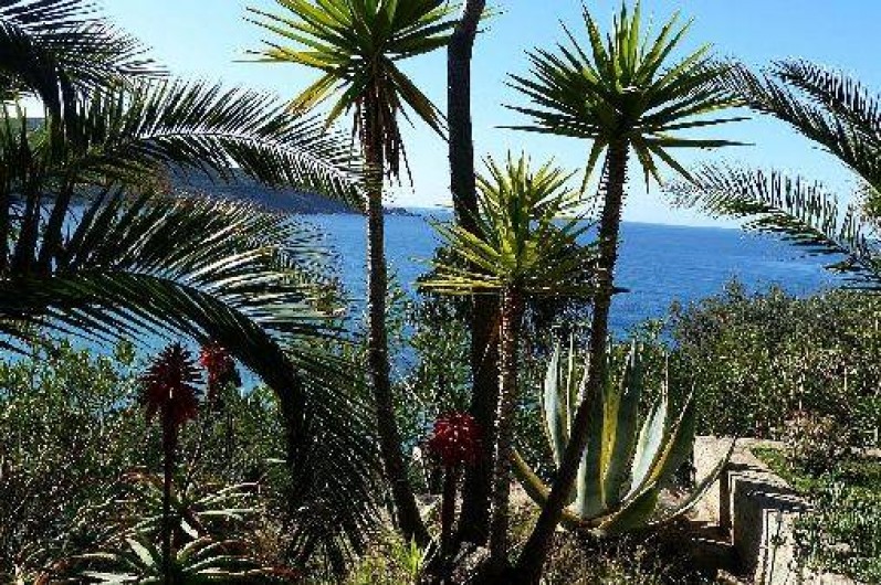 Location de vacances - Villa à Cargèse