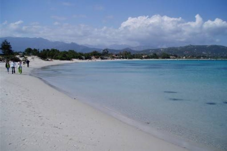 Location de vacances - Studio à Porto-Vecchio - PLAGE DE ST CYPRIEN