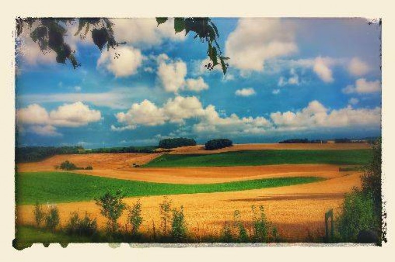 Location de vacances - Villa à Sequehart