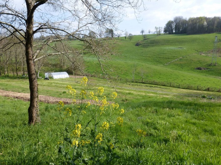 Location de vacances - Gîte à Saint-Hilaire-Peyroux - notre champ en permaculture (ni engrais ni pesticide)
