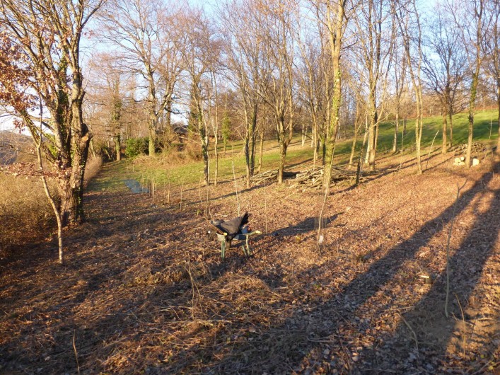Location de vacances - Gîte à Saint-Hilaire-Peyroux - Notre environnement, permaculture et forêt fruitière