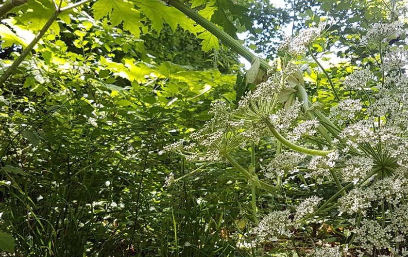 Location de vacances - Gîte à Saint-Pierre-de-Lamps