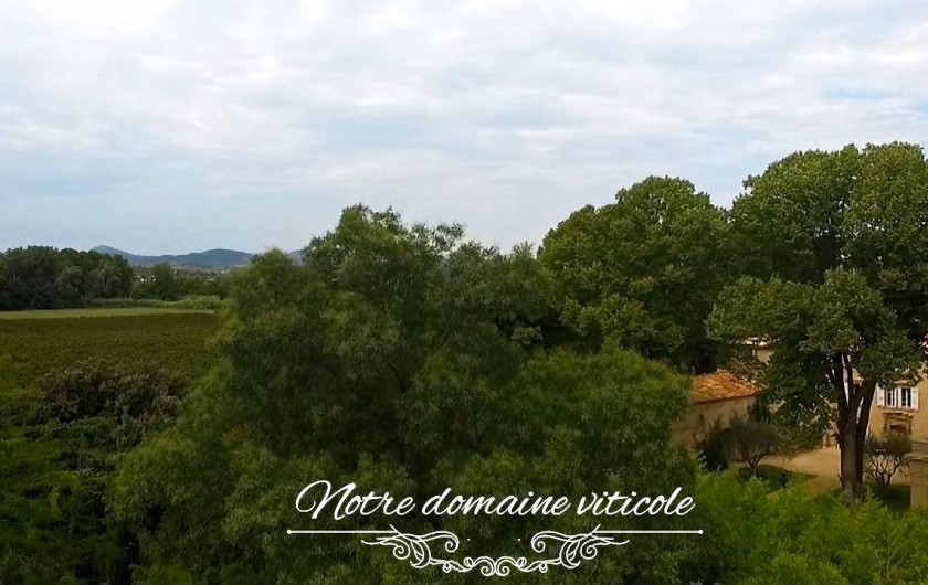 Location de vacances - Château - Manoir à Saint-Pargoire