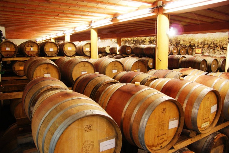 Location de vacances - Château - Manoir à Saint-Pargoire