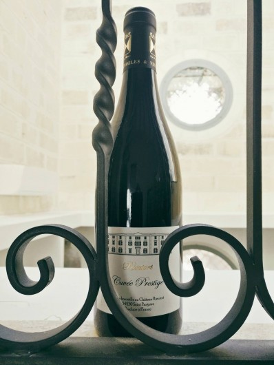 Location de vacances - Château - Manoir à Saint-Pargoire