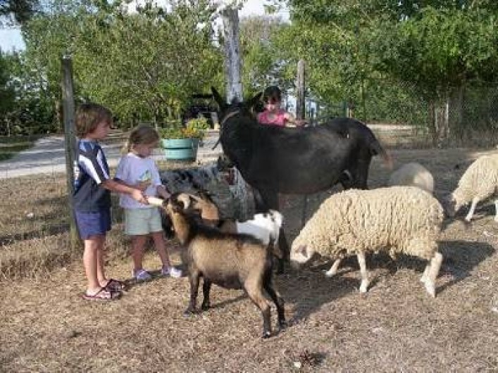 Location de vacances - Gîte à Castelnaudary