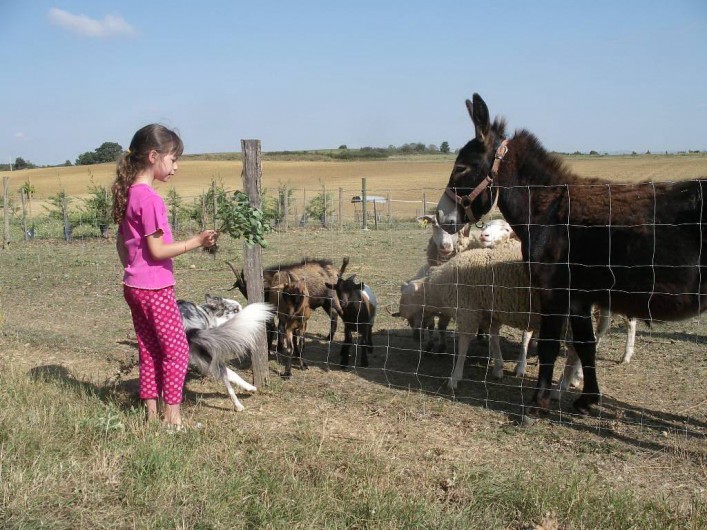 Location de vacances - Gîte à Castelnaudary