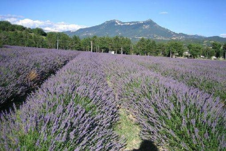 Location de vacances - Gîte à Aiglun