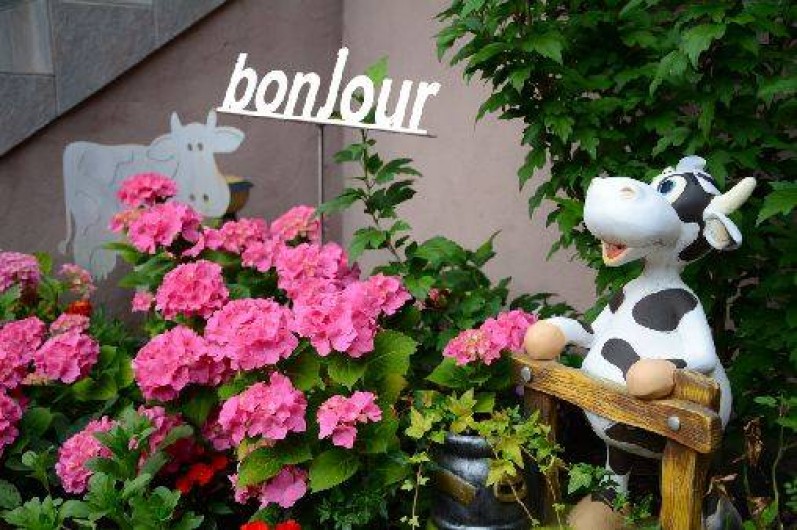 Location de vacances - Gîte à Witternheim