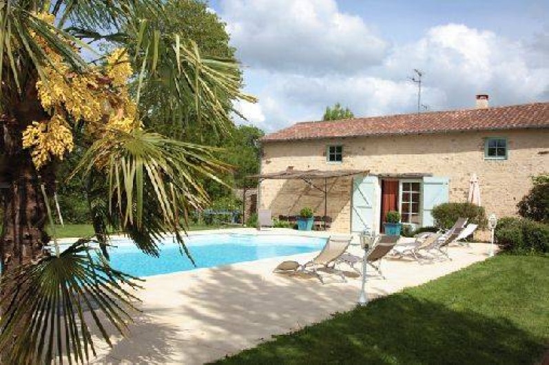 Location de vacances - Gîte à La Jaudonnière - Vue du palmier