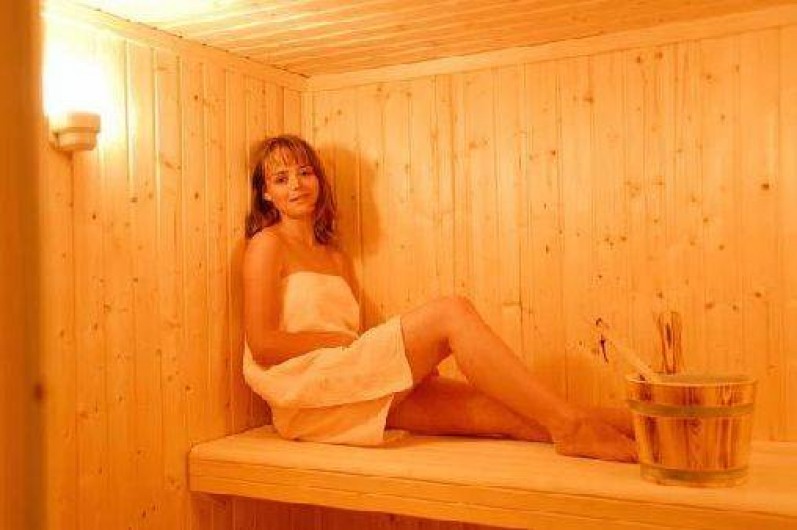 Location de vacances - Gîte à La Jaudonnière - Grand sauna