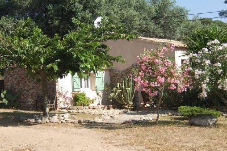 Location de vacances - Maison - Villa à Porto-Vecchio