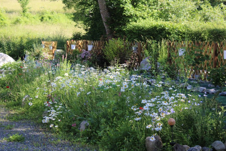 Location de vacances - Chambre d'hôtes à Anla - Extérieur