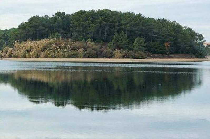 Location de vacances - Appartement à Vieux-Boucau-les-Bains