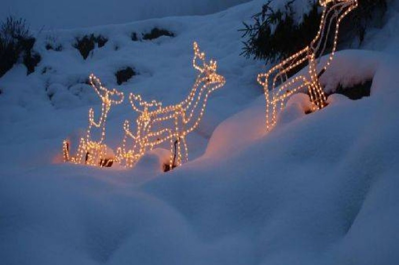 Location de vacances - Gîte à Wangenbourg-Engenthal