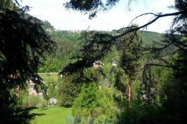 Location de vacances - Gîte à Wangenbourg-Engenthal