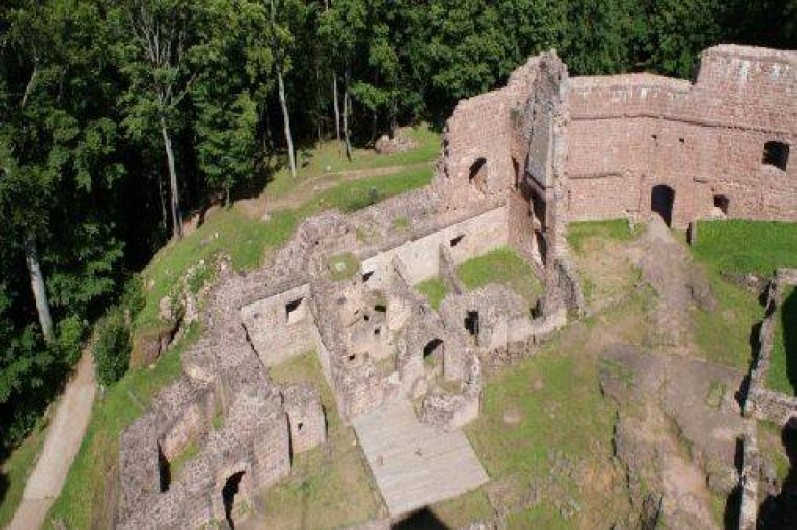 Location de vacances - Gîte à Wangenbourg-Engenthal