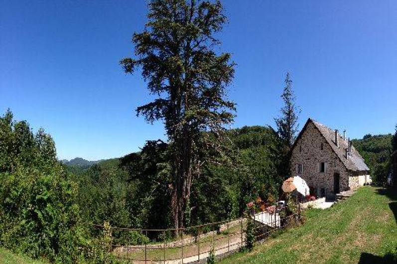 Location de vacances - Chalet à La Salvetat-sur-Agout