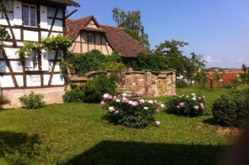 Location de vacances - Gîte à Saessolsheim