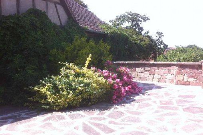 Location de vacances - Gîte à Saessolsheim