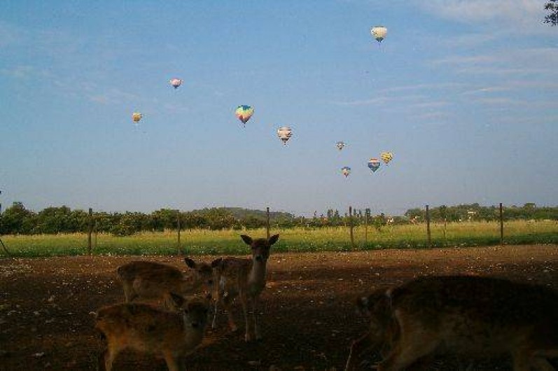 Location de vacances - Mas à Arpaillargues-et-Aureillac