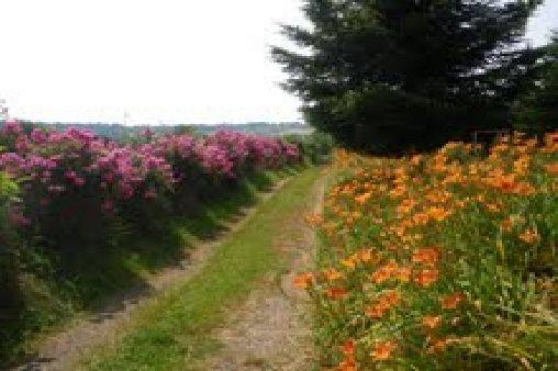 Location de vacances - Gîte à Drugeac