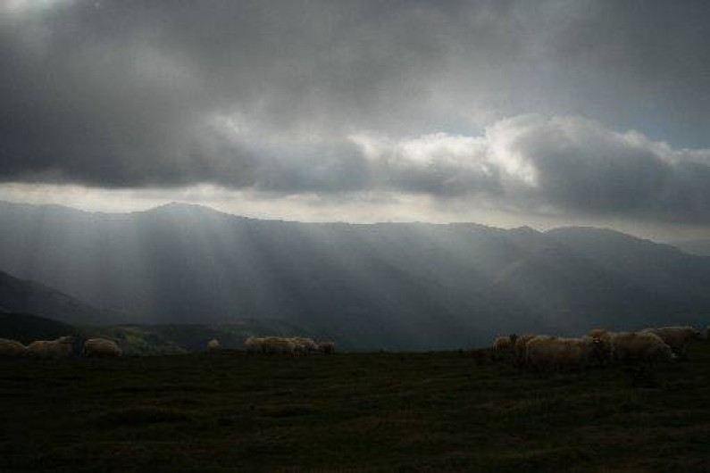 Location de vacances - Appartement à Estérençuby