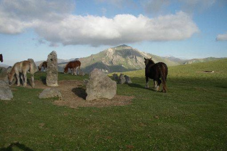 Location de vacances - Appartement à Estérençuby