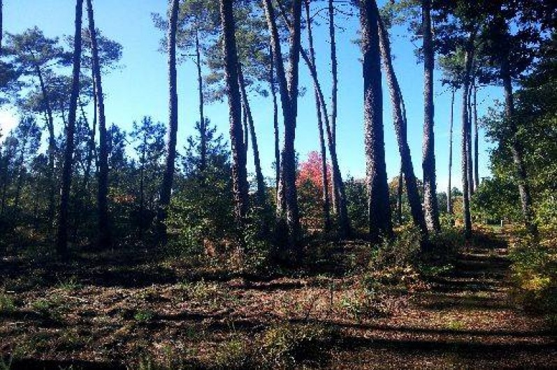Location de vacances - Villa à Gourbera